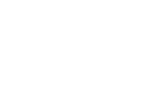 Logo BWA